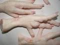 Frozen Chicken, Halal Frozen Chicken,  Kosher  Frozen Chicken, Chicken Wings, Paw, Feet
