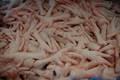 Frozen chicken feet grade A / Special  price   CIF 