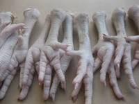 Grade A Frozen Chicken Feet, Paws, and Other Parts.