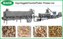 Textrue Soya/Vegetable Protein/Tissue Protein Food Processing Line