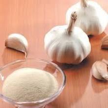 garlic powder,Dehydrated garlic powder Grade A