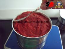 Tasty Tomato Ketchup