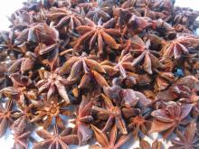 ganzhi star aniseed