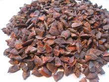 ganzhi star aniseed broken