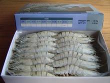 BLACK TIGER SHRIMPS