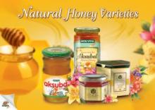  Turkish  Honey / Polyflora Flower Honey / Honeydew Pine Honey / Premium Quality Honey