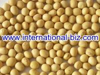 100% Natural Textured Soya Protein (NON-GMO soybean)