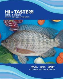 Frozen  Tilapia   Whole   round 