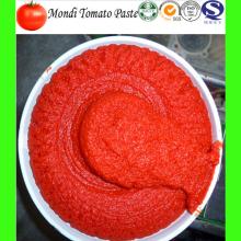 850g  tomato   paste  in cans hot break