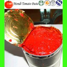 750g Pure canned tomato paste in can