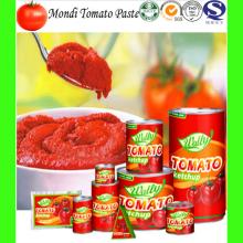 gino tomato paste ketchup sauce