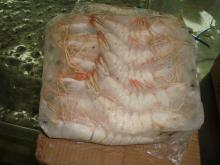 HOSO SHRIMPS PAKISTAN