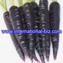 Black Carrot Color