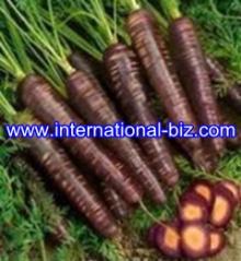 Black Carrot Juice Concentrate