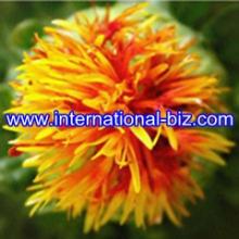 Safflower Yellow