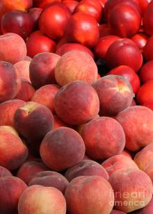 Peaches and  Nectarine s