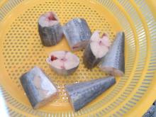  Spanish   mackerel  Tube  cut 