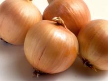  Fresh  Onion For Sale At Affordable Prices