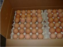 Fresh white and brown shell chicken eggs