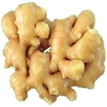 GMP 100% Natural & High Quality Import Goji Berries
