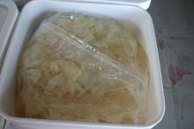 sushi  ginger   white 