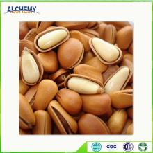  Pine   Nut 
