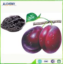 Dried   plum 