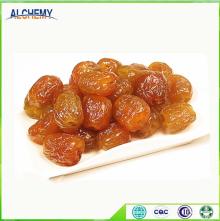 Honey Jujube