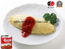 Magical Tomato Paste Ketchup
