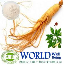 Chinese Herb Extract 4%-80% Ginsenosides Panax Ginseng  Root  Extract/Ginseng  Root  Extract Powde