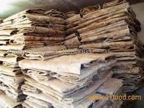 Dry  Salted   Cow   Hide s