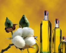 Refined Cotton Seed Oil