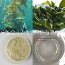 Kelp  Polysaccharide s