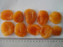 dried apricot