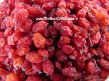 iran dried barberry