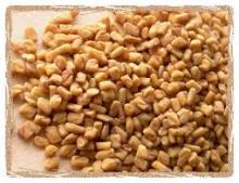  fenugreek   seed 
