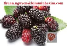 Frozen Black Mulberry