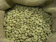 Green Arabica and Robusta Coffee Beans