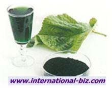 Oil-Magnesium  Chlorophyll 