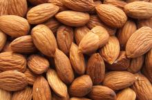 Almond Nuts /Pistachio Nuts/Cashew Nuts/Peanut/Pecan Nuts