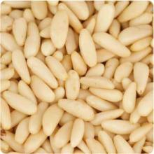 Raw and Roasted Pine Nuts