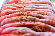 Cray Fish Frozen For Sale