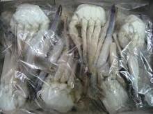 Crab Frozen For Sale