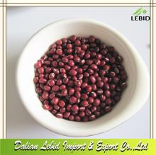 Chinese  Red   Small   Bean s or Adzuki  bean s
