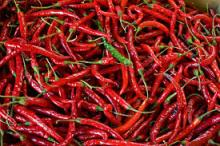 red Pepper