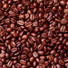  Cocoa   seed   Extract 