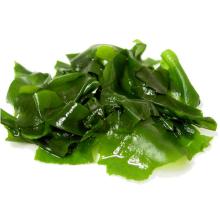 Seaweed Extract Kelp Extract