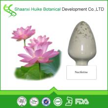 100% Natual  Lotus   Leaf  Extract