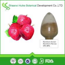 100% Natural Best Quality  Hawthorn   Extract 