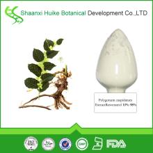 Bulk Supply Top Quality 100% Pure  Polydatin 
